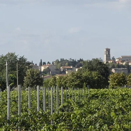 Maulbeerbaeume Auf Dem Bauernhof By Interhome Ferienhaus *