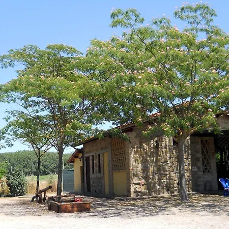 Maulbeerbaeume Auf Dem Bauernhof By Interhome Ferienhaus Torgiano