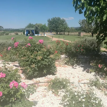 Maulbeerbaeume Auf Dem Bauernhof By Interhome Ferienhaus *