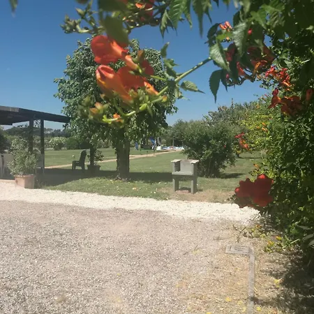 Maulbeerbaeume Auf Dem Bauernhof By Interhome Ferienhaus Torgiano